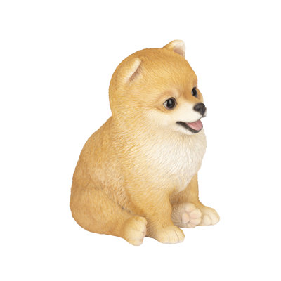  Brown Pomeranian | Handpainted Decorative Puppy Statue for Home & Garden Decor | Premium Polyresin Dog Statue | Gift for Dog Lovers | Weather-Resistant Indoor/Outdoor Decor