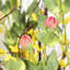 36 "fleurs artificielles en grappe de branches pour la décoration intérieure printemps été, fausses longues tiges de verdure pour le mariage