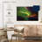 Alvord Aurora Borealis Vision-107721560