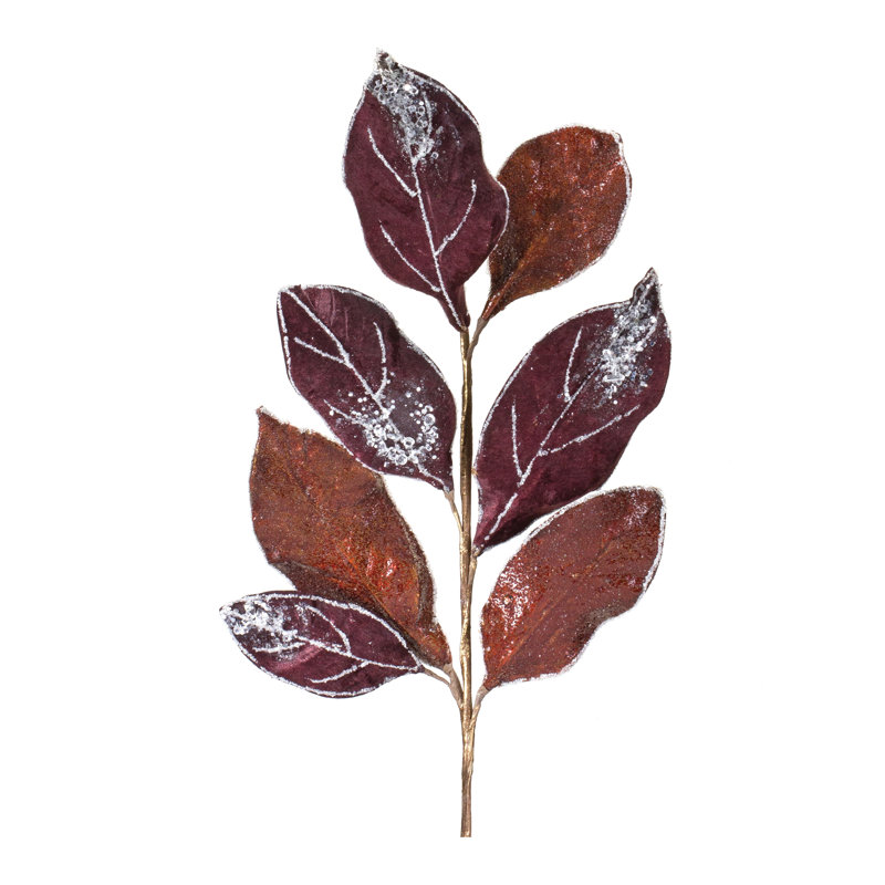Leaf Arrangement