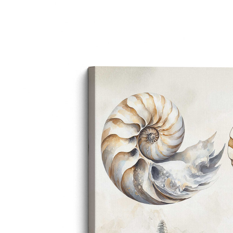 «Cape Cod Shores Seashells» par Nicole DeCamp, reproduction d'art, L 18 po x H 24 po, Ne s’applique pas, Toile non encadrée