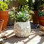Handmade Stone Planter-1216282156
