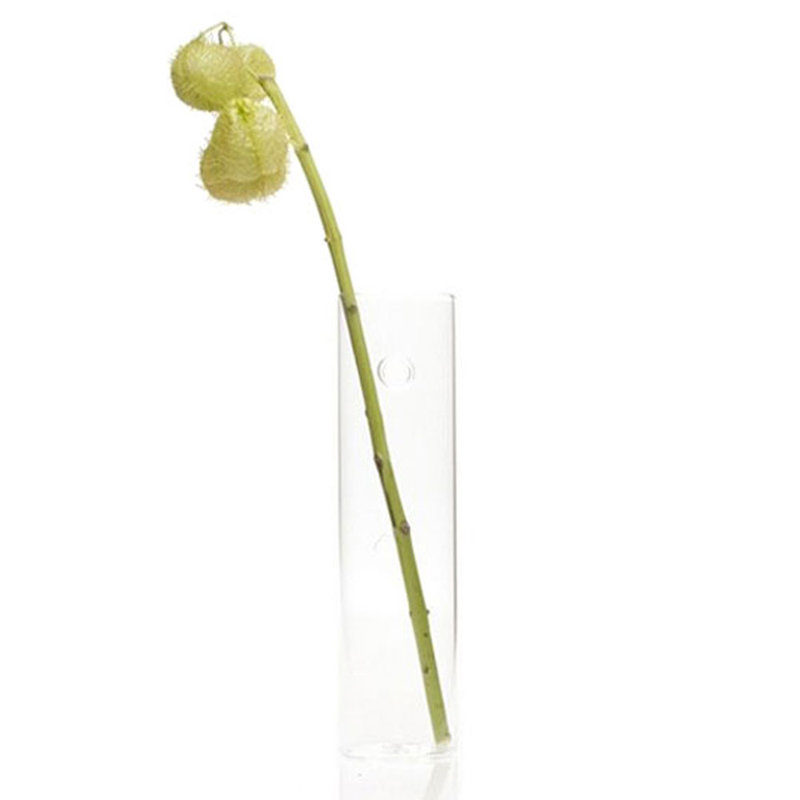 Glass Wall Vase, Medium