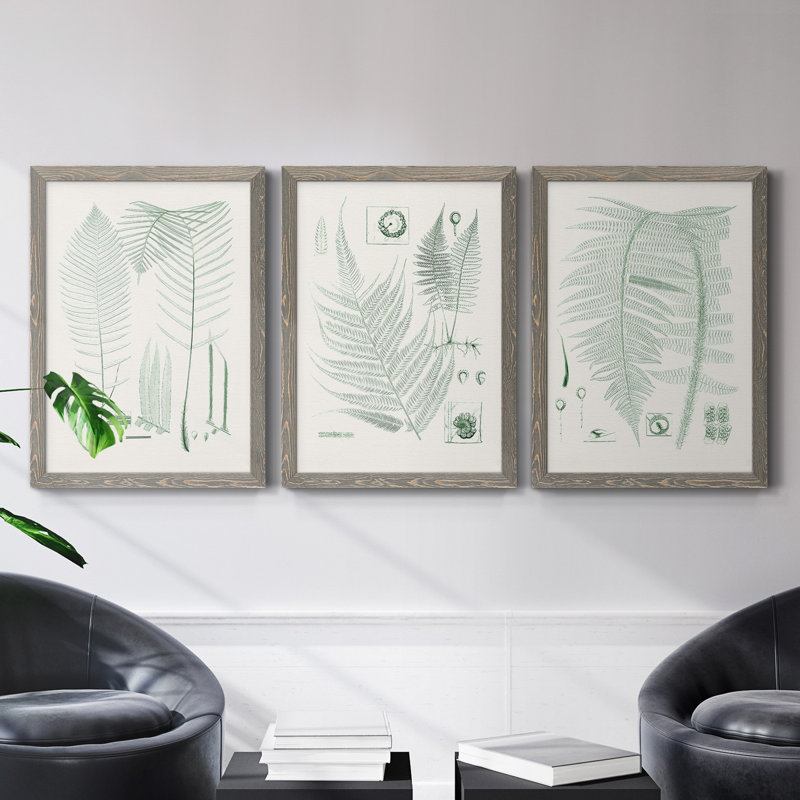 Verdure Ferns VII - ensemble de 3 peintures sur toile encadrées, H 43,5 po x l 31,5 po x P 1 po, Gris