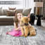 Machine Braided Area Rug-1396683903