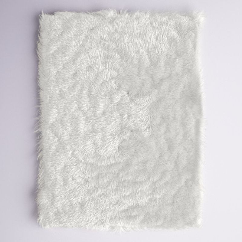 Tapis blanc à poils longs lavable à la machine Diller, Rectangle 5 pi x 7 pi