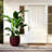 High-quality ceramic flower pots-1919763765