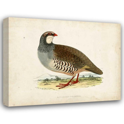 «Red Barrel Studio®», art graphique sur toile tendue par Morris Gallery: Morris Pheasants II