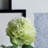 Peony Arrangement