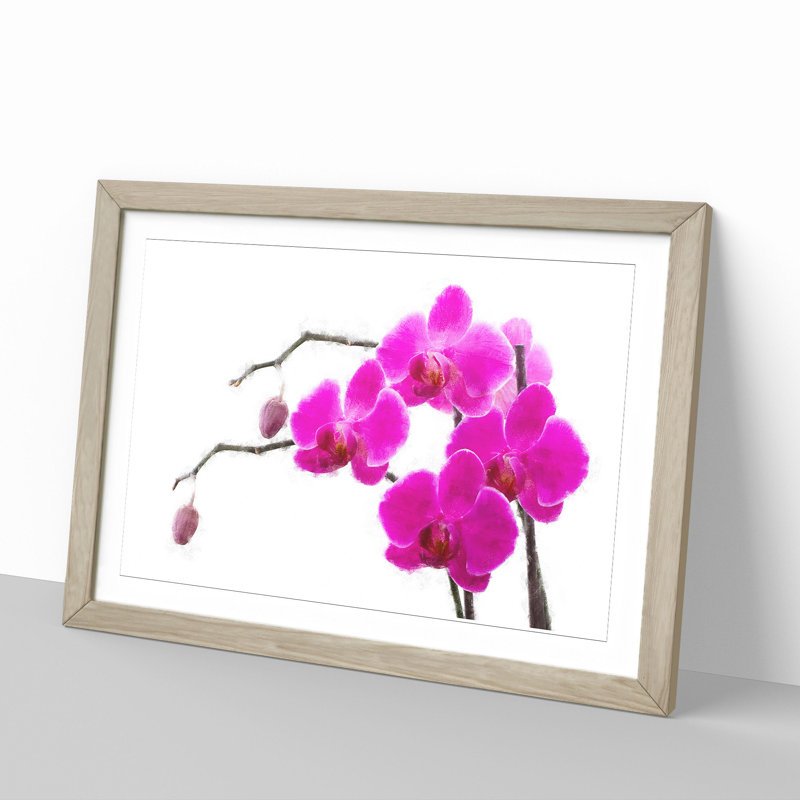 Orchid Flowers Vol.2 - Framed Print, 48cm H x 65cm W x 2cm D, Oak Framed