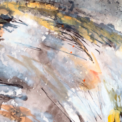 «Zakir Ginette Fine Art Feathers In The Wind» par Ginette Callaway, reproduction d'art sur toile tendue