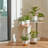 Chanko Ceramic Pot Planter-1026338917