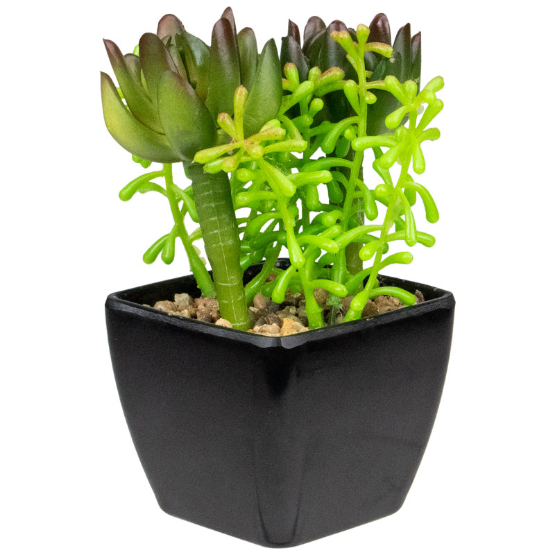 Arrangement de plantes grasses artificielles en pot 6 po