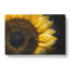 Yellow Sunflower Rising - Wrapped Canvas-56639919