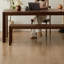 Lamani-1182953642-1182953645