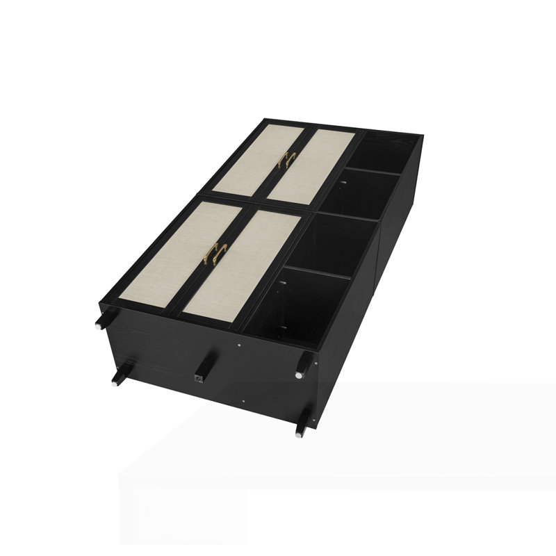 Armoire 4 portes avec 4 tablettes et 4 tablettes intérieures réglables, Noir