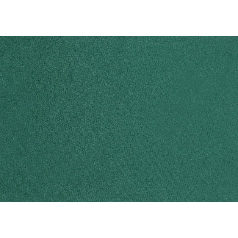 Tissu rembourré de chaises de salle à manger 2 pièces, look moderne et moderne, Green