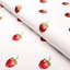 Schumacher x Johnson Hartig Freshie Fresh Fabric