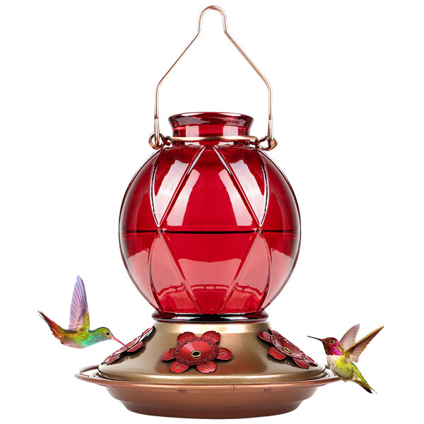 Wildon Home® Blackwell Glass Hanging Hummingbird Feeder & Reviews | Wayfair