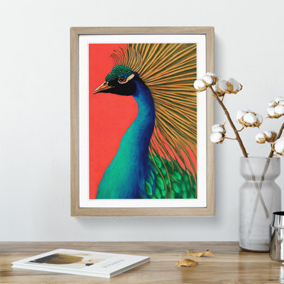 Attractive Peacock - Single Picture Frame Painting