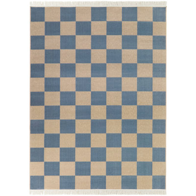 Cemshid Checkered Indoor Rug