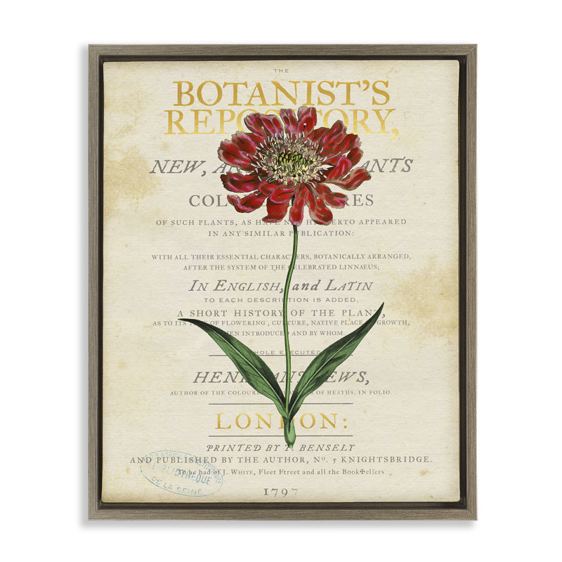 «Flower over Vintage Page», art mural par Susan Arnot, Cadre flottant orme Montalcino, H 21 po x l 17 po
