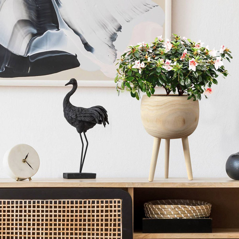 Wood Pot Planter, 36cm H x 23cm W x 23cm D