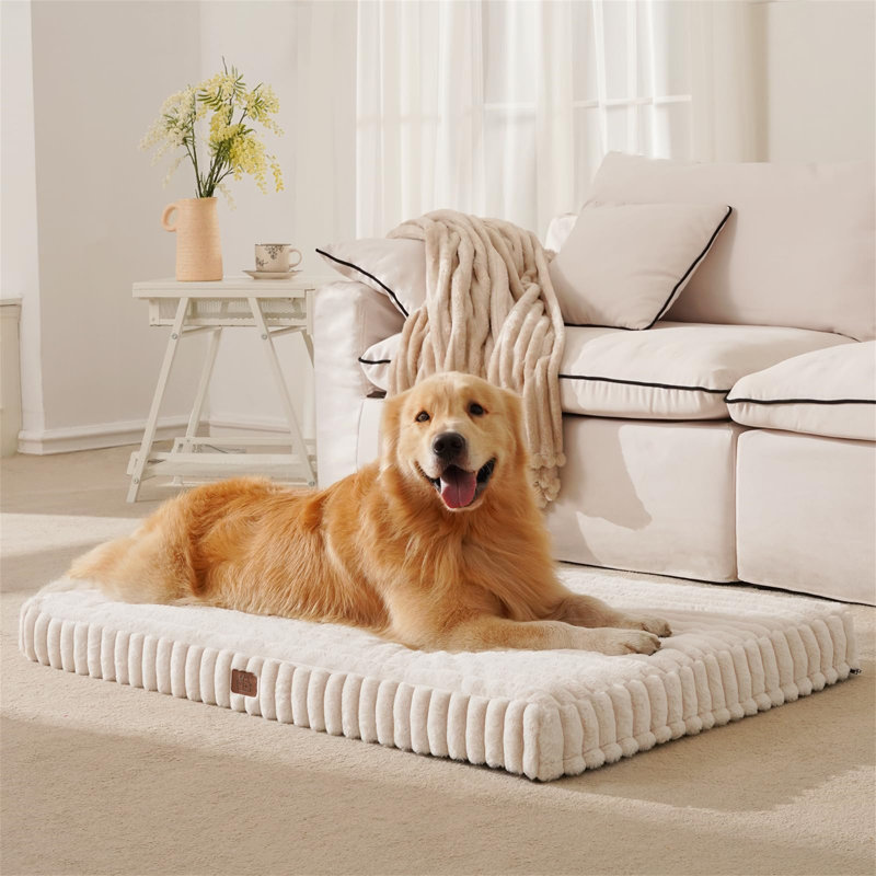 Polyester Pet Bed