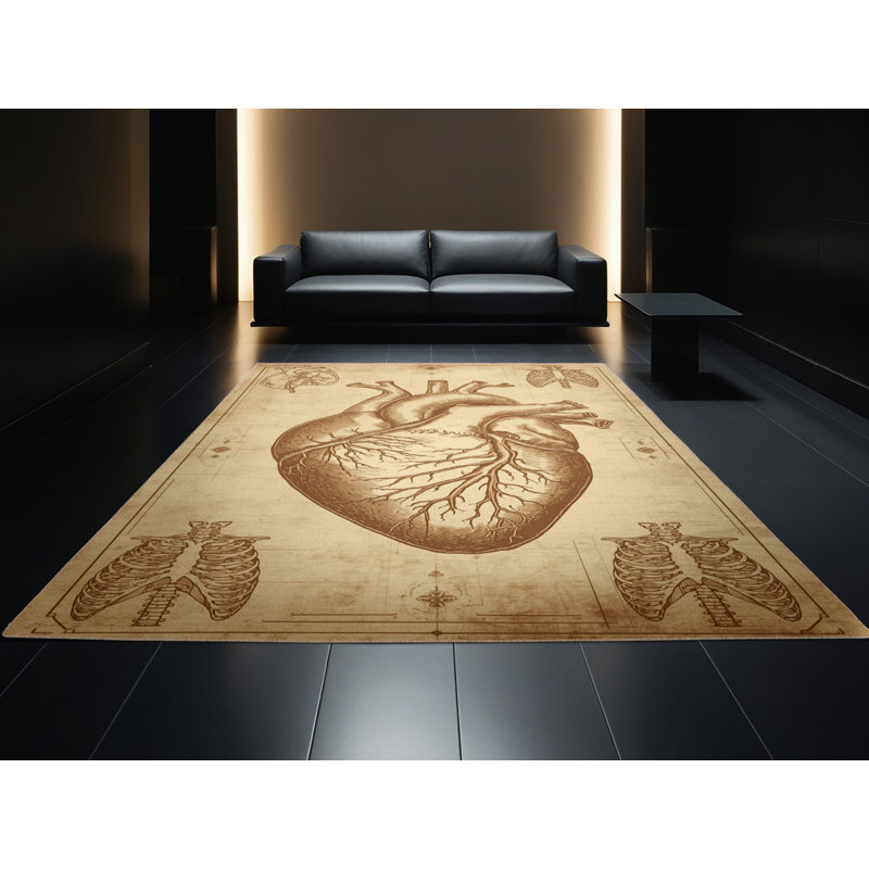 Tapis moelleux moelleux de style traditionnel à motif d'anatomie médicale - beige, 6 X 9