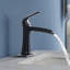 Topcraft Single-Handle Single-Hole Bathroom Sink Faucet With Pop-Up Drain And Deck Plate-123810624