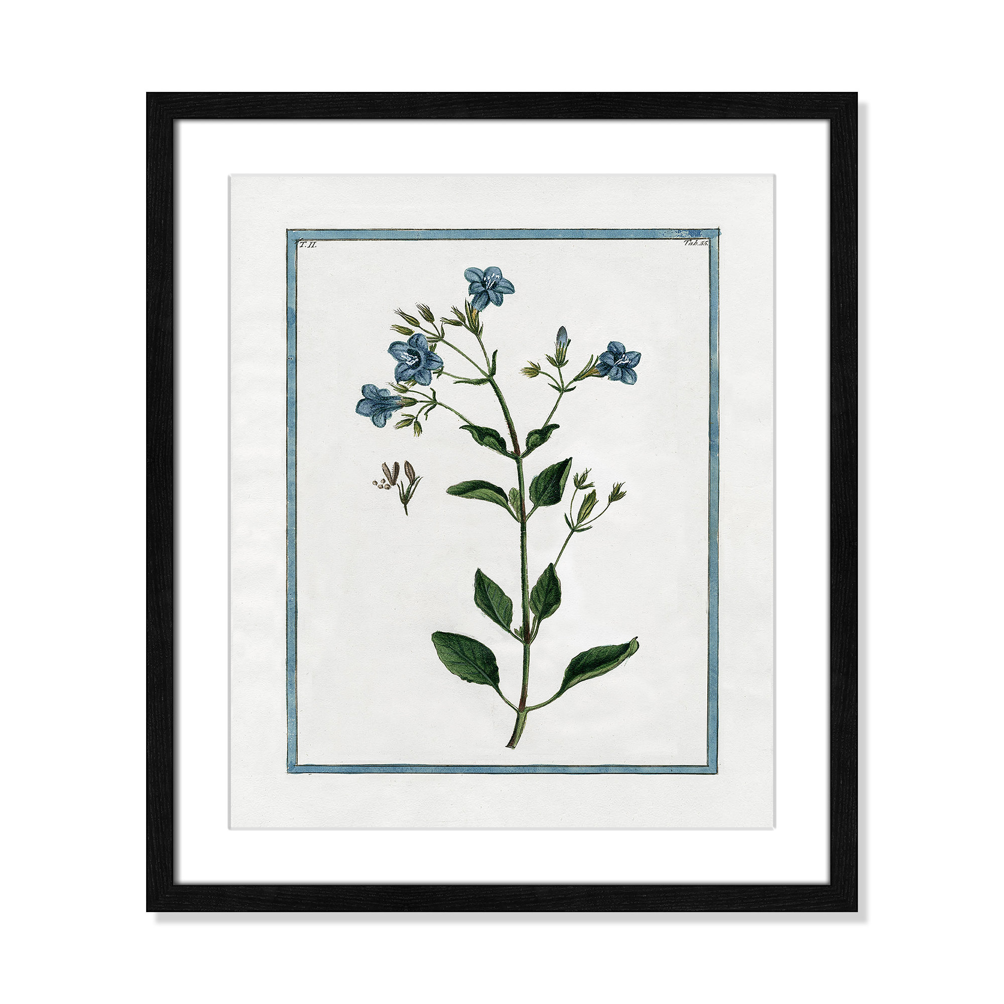 Shabby Elegance Botanical II - Framed Art, Black Framed, 16" W x 19" H