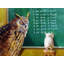 Loon Peak® Heffernan, Lucia, art sur toile tendue sous le titre: Class Clown-872059113