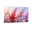 Plantes et fleurs à fleurs roses et rouges-500437743-500437737-500437741