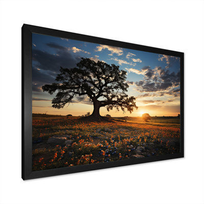 «Orange Bonnets Field With Sunset», reproduction sur toile