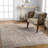 Everly Oriental Light Orange/Blue Area Rug-1138650329
