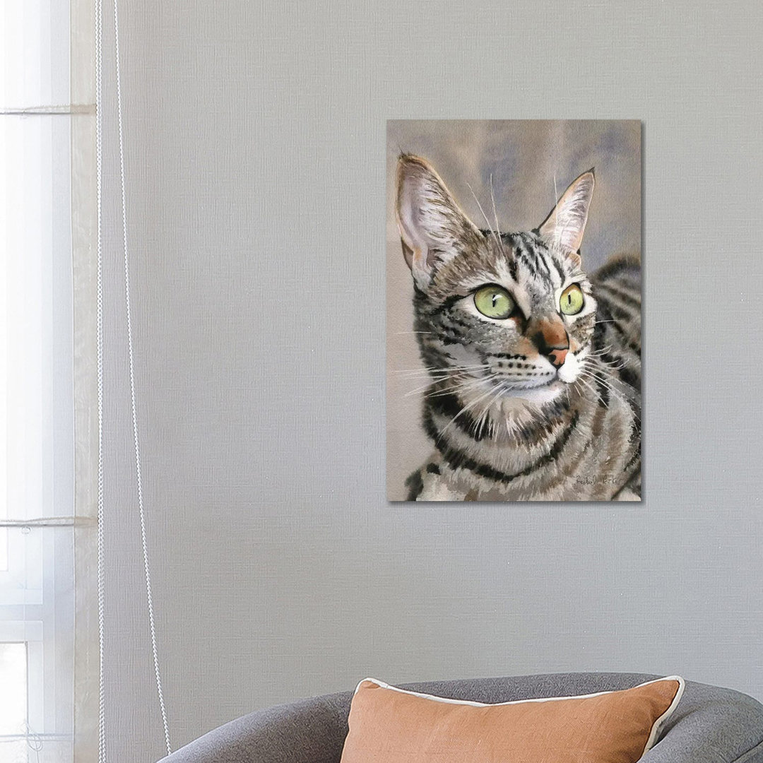 Tabby Eyes von Rachel Parker - Galerie-verpackte Leinwand Giclée auf Leinwand