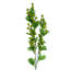 Plastic, Silk Artificial Arrangement-89222289