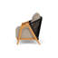 Alpine Outdoor Teak Armchair-824788026