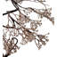 1.33' Lighted Garland 24 Lights