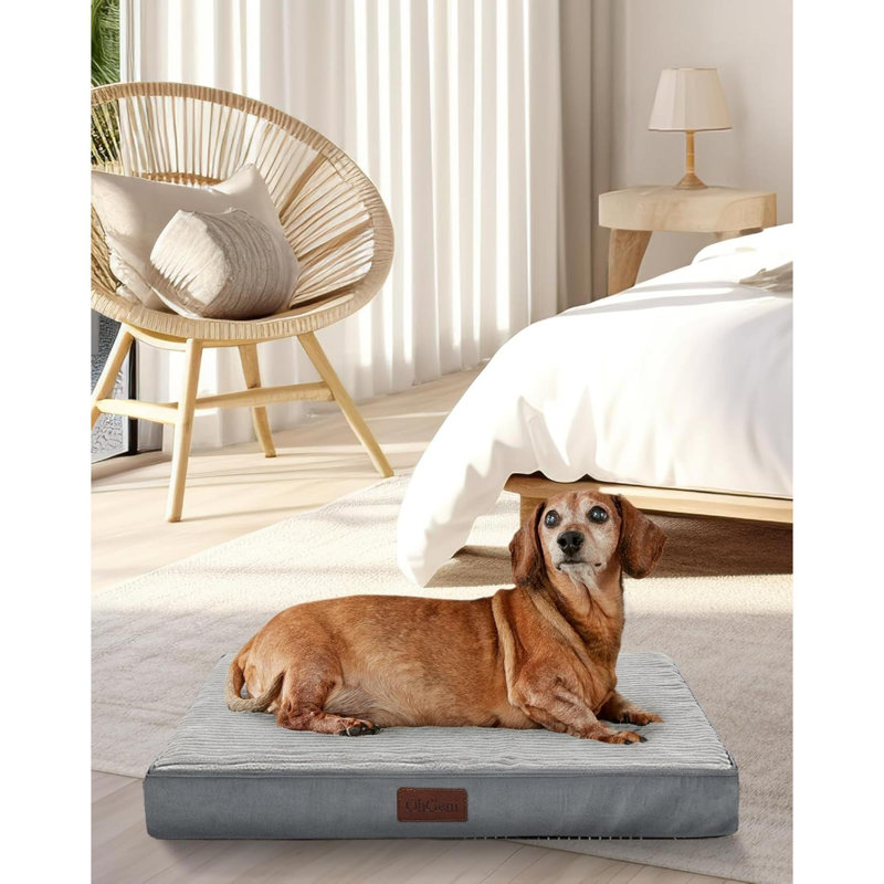 Lit pour chien orthopédique imperméable et lavable à la machine de 24 pouces avec support en mousse pour caisse d'œufs, fond antidérapant et housse de lit amovible pour animaux de compagnie de très grand, grand, moyen, petit (gris)