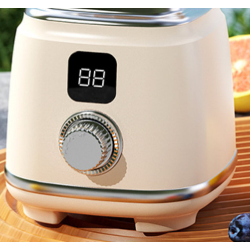 Juicer, Home Ice Crusher, Multi-function Juicer, Fruit And Vegetable Light Juice Extractor
