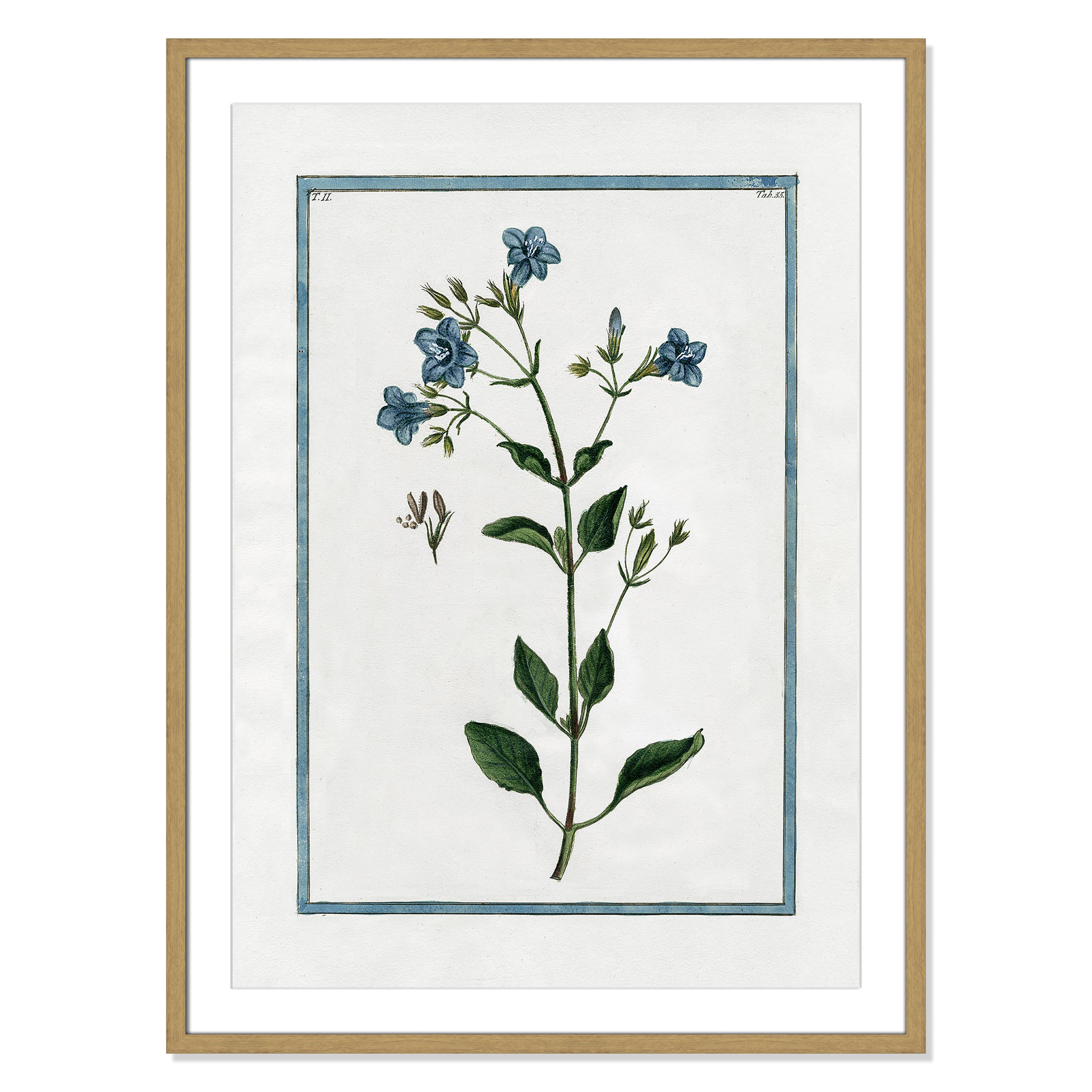 Shabby Elegance Botanical II - Framed Art, 25.5" W x 35.5" H, Natural Framed