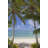 Pair Of Palm Trees by Lilly3 - Wrapped Canvas Print-1981455720
