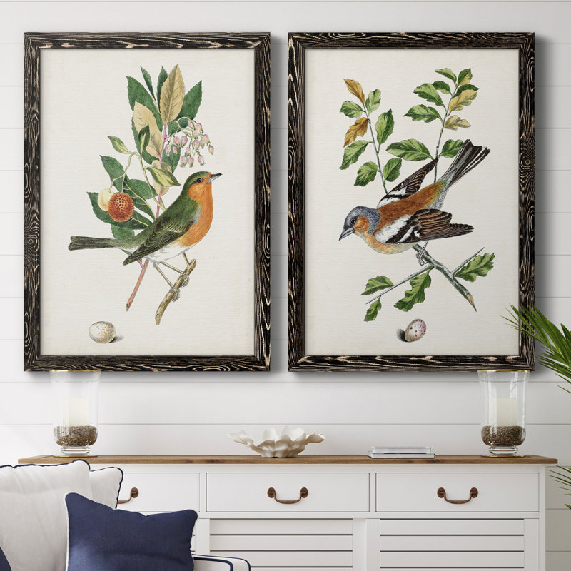Oiseau antique, botanique et œuf sur toile encadrée, prêt à accrocher, H 37,5 po x l 27,5 po x P 1 po, Toile avec cadre noir