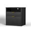 73cm Wide 2 -Drawer File Cabinet-1574268971