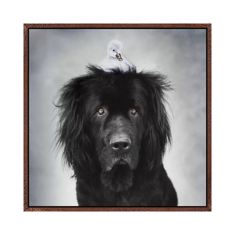 George And Hugo by Rachael Hale - Print on Canvas, 66.04 cm H x 66.04 cm W, Classic Brown Wood Framed