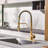 Bolden CASAINC 1.8 GPM Spring Neck Pull Down Kitchen Faucet with Deck Plate-93965531