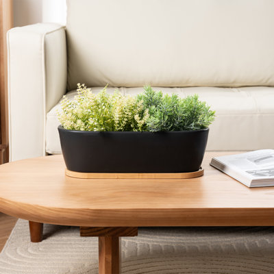 Indoor Ceramic Flower Pot Planter