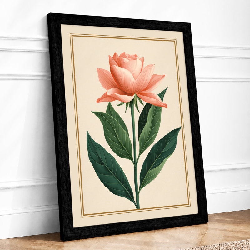 Coral Rose Study Botanical - Print, Black, A3 - 42.0 x 29.7 cm
