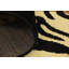 Tapis brun Testerman-19386214